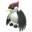 Woodpecker