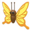 Yellow Butterfly