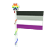 Ace Flag 2023