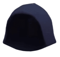 Adventurer's Hood