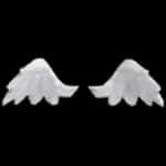 Angel Wings