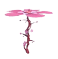 Blossom Propeller