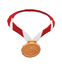 Bronze Medal