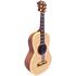 Camper's Guitar