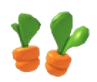 Carrot Sprout