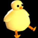 Chick Hat