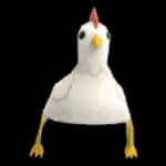 Chicken Hat