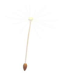 Dandelion Propeller