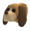Dog Leash