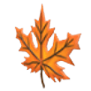 Eco Orange Maple Headpiece