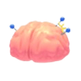 Exposed Brain