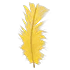 Feather