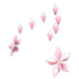 Flower Aura