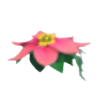 Flower Hair