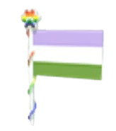 Gender Queer Flag 2023