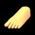 Human Feet Shoes