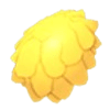 Lion's Mane