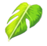 Monstera Leaf Cape