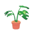 Monstera Plant Pot