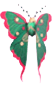 Moth Hair Clip