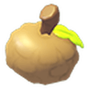 Oakee Cap