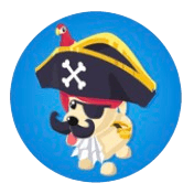 Pirate's Costume