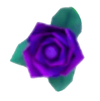 Purple Rose