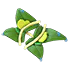 Rain Leaf Wings