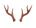 Reindeer Antlers