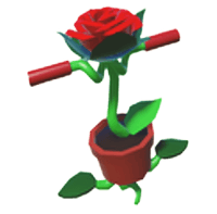 Rose Pogo