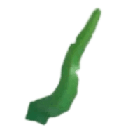 Seaweed