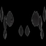 Shadow Aura