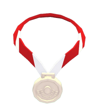 Silver Medal