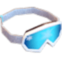 Ski Goggles