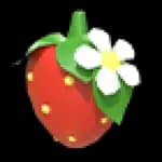 Strawberry Clip
