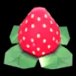 Strawberry Hat
