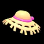 Summer Straw Hat
