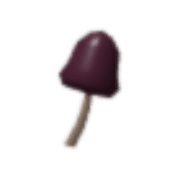 Tall Mushroom