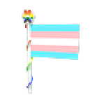 Transgender Flag 2023