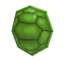 Turtle Shell