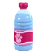 Water Bottle