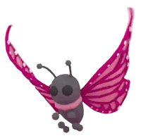 2021 Uplift Butterfly