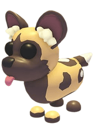 African Wild Dog