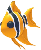 Angelfish