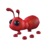 Ant