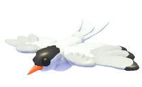 Arctic Tern