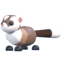 Black-Footed Ferret