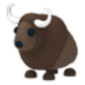 Buffalo