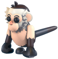 Capuchin Monkey