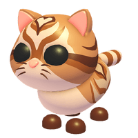 Catte
